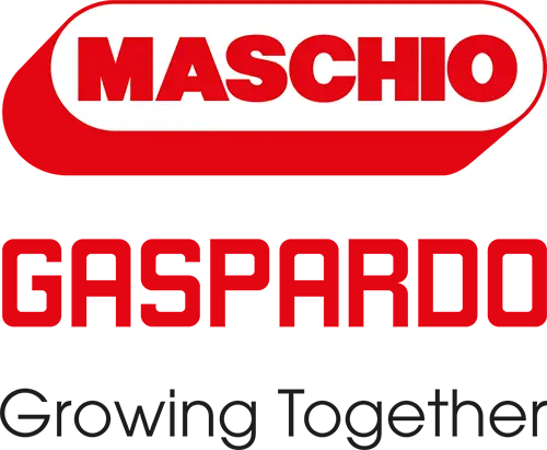 Maschio